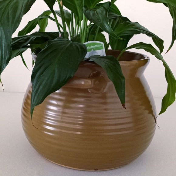 Ceramic Rippled Pot - Picture 2 of 9